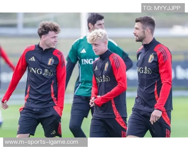 比利时与俄罗斯足球对决分析及历史交锋回顾